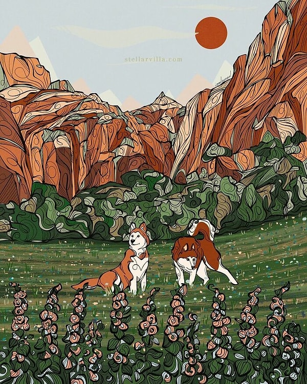 23. Две хаски в горах