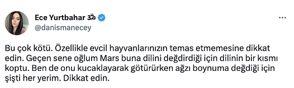 Kendisi böceğe dokunmamasına rağmen köpeğinin ağzındaki zehrin boynuna sürünmesi nedeniyle şişlik, kızarıklık ve kaşıntı gibi alerjik reaksiyonlar da gösterdiğini belirtti.