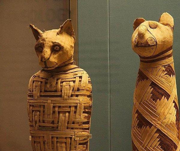 2. Kedilerden timsahlara evcil de olsa vahşi de olmak üzere her tür hayvan Eski Mısırlılar tarafından saygı görmekteydi. Her hayvanın belirli bir tanrı veya tanrıçayla ilgili olduğu, doğaüstü yeteneklere sahip oldukları düşünülüyordu.