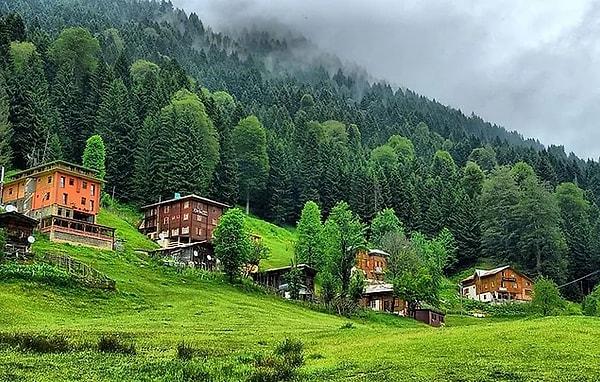 Information About Ayder Plateau