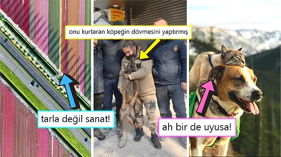 Gördüğünüz Anda İçinizin Yağlarını Eritip Sizi Pamuk Gibi Yapacak Birbirinden Etkileyici 17 Görsel