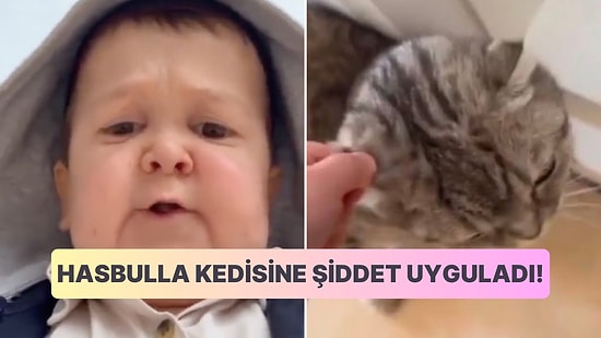 Sosyal Medya Fenomeni Hasbulla'nın Kedisine Şiddet Uyguladığı Görüntüler Büyük Tepki Çekti