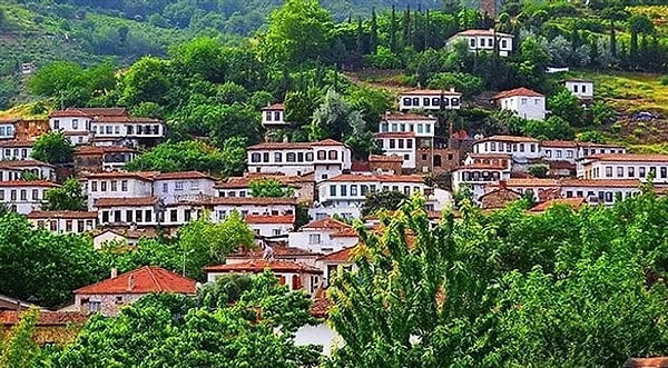 Şirince Wine Cellars and Mürver Syrup