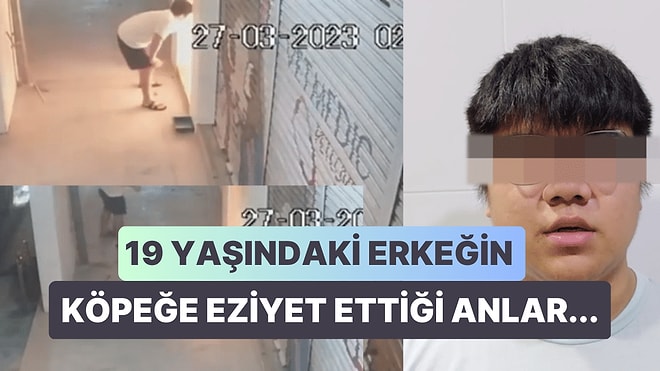 Sokak Köpeğini Demir Sopayla Dövüp Kuyruğunu Ateşe Veren Kişiye Öfkeler Çığ Gibi Büyüdü