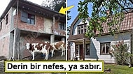 İsveç'te ve Türkiye'de Aynı Fiyata Alabileceğiniz Evleri Görünce Sinirinize Hakim Olamayacaksınız