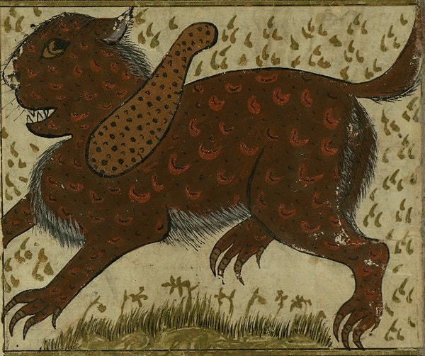 7. Sannaja: Orta Doğu folkloründen büyük ve sevimsiz basilisk benzeri bir yaratıktır. Himalayalarda yaşadığı söylenir