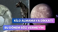 Yeni Zamlar Kapıda, Aklımız Fikrimiz Para: 3 Nisan Merkür Boğa Burcu Geçişi Burçları Nasıl Etkileyecek?