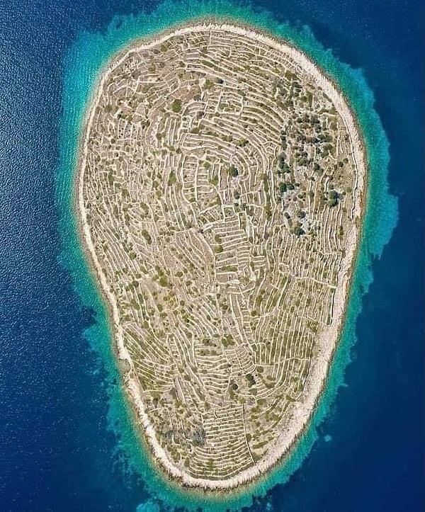 9. Üzüm bağlarını adriyatik rüzgarlarından korumak için duvarlarla çevrili, parmak izine benzetilen Hırvat adası Baljenac👇