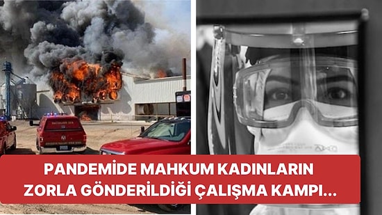 Pandemi Döneminde Kadın Mahkumları Sömüren Dev Yumurta Çiftliği