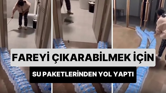 Eve Giren Fareyi Çıkarabilmek İçin Su Paketlerinden Yol Yapan Kadının Çığlık Çığlığa Kaldığı Anlar