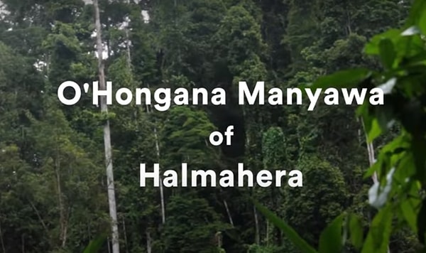 Peki orada kim yaşıyor? Hongana Manyawa kabilesini biraz tanıyalım.