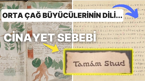 Anlamlarını Kimse Çözemiyor! Tarih Kadar Yaşlı Olmalarına Rağmen Hâlâ Sırrı Çözülemeyen 8 Gizemli Şifre