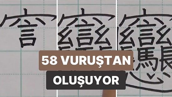 Dünyanın En Zor Dili Olarak Bilinen Çince'de 'Bir Kase Erişte' Anlamına Gelen 'Biáng' Kelimesinin Yazımı
