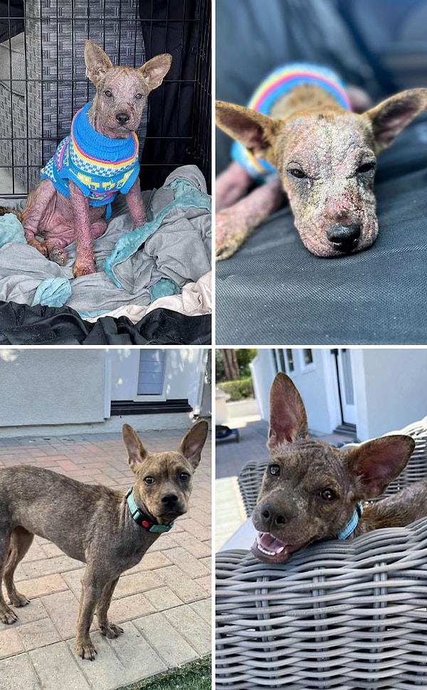 19. «Я нашел ее такой, и теперь она выглядит намного лучше»