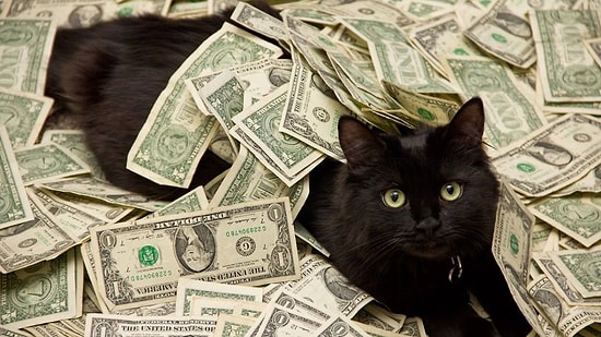 Ne Zaman Zengin Olacağını Söylüyoruz!