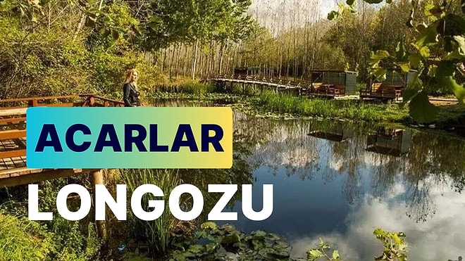 Acarlar Longozu: Birinci Derece Doğal Sit Alanı ve Türkiye'nin Tek Parça Halindeki En Büyük Longoz Ormanı