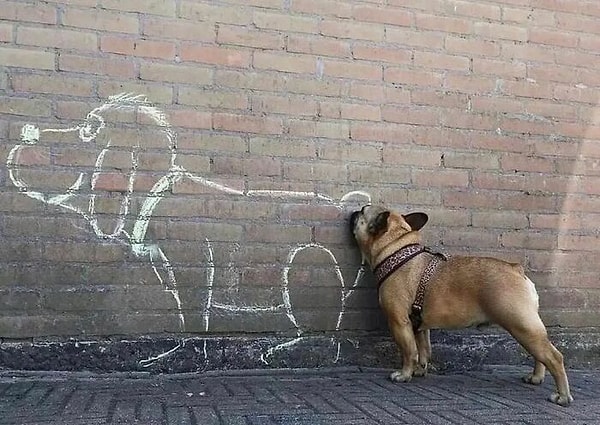 4. Кто ты, незнакомец?