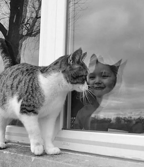 16. Через окно