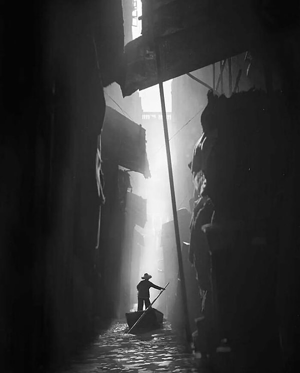 23. Сквозь дебри города