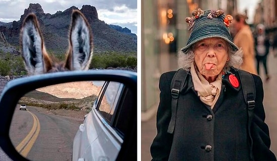 50 лучших уличных фотографий от TDM, которыми поделились 85 тыс. человек