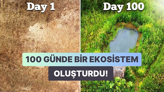 Sıkıcı Bir Çim Alandan Sağlıklı ve Gelişen Bir Ekosistem Yaratan Adamın Olağanüstü Hikayesi