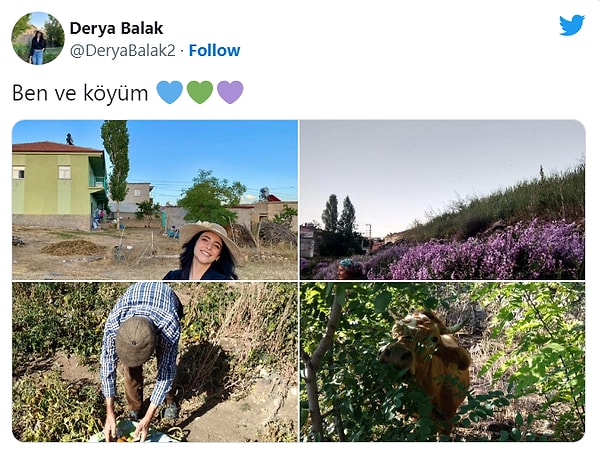 1. Her şey aslında bu tarz tweetler atarak anasayfamızda pastoral esintiler yaratan kullanıcıların paylaşımlarıyla başladı.