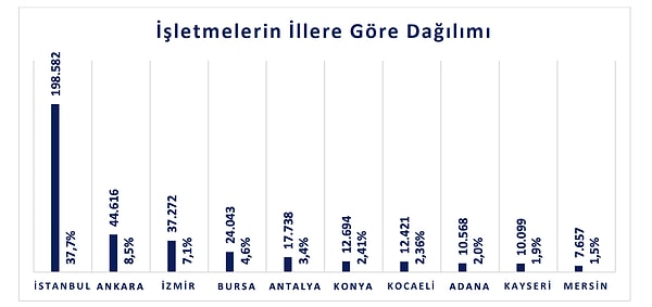 E-Ticaret faaliyeti yürüten işletme sayısının en fazla olduğu il yüzde 37,7'yle İstanbul.