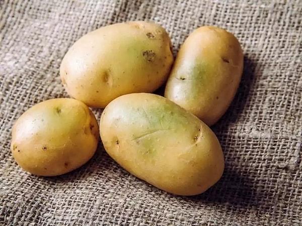 Yeşillenmiş Patates Yemek Sağlığa Zararlı mı?