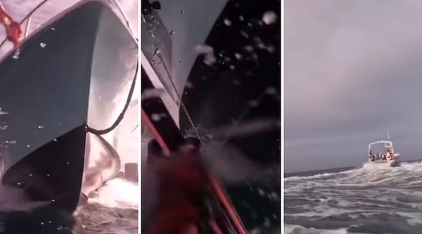 Zıpkınla balık yakalamaya çalışan bir dalgıç yüzeye çıktığı anda bir tekneyle burun buruna geldi.
