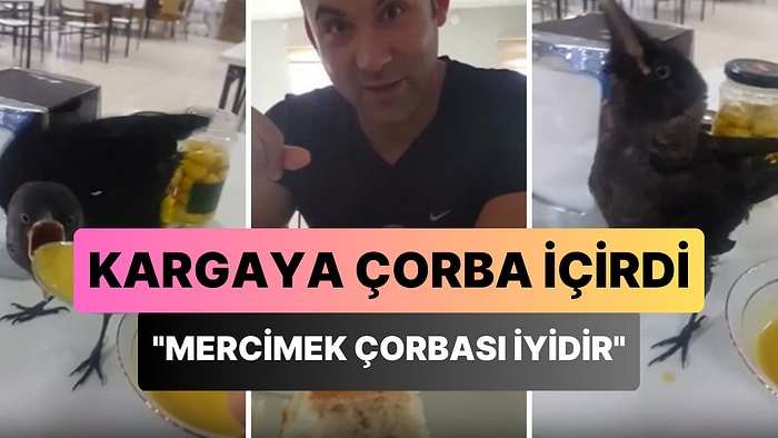 'Mercimek Çorbası İyidir' Deyip Evcilleştirdiği Kargaya Çorba İçiren Adam