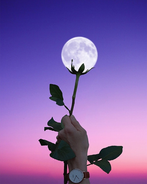 Полнолуние произойдет в водном знаке Скорпиона, который часто ассоциируется с эмоциональной глубиной и трансформацией и представлен картой Смерти в Таро, символизирующей окончания, ведущие к новым началам