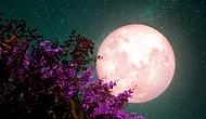 Сочетание майского полнолуния и лунного затмения — ваш шанс радикально изменить свою жизнь