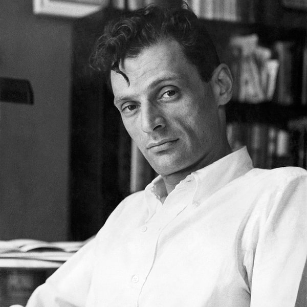 Arthur Miller’ın “Satıcının Ölümü” adlı oyunu, Amerikan Rüyası'nın çarpık bir yorumunun, ana karakter Willy Loman'ın kişisel ve mesleki hayatında nasıl yıkıcı bir etkiye yol açabileceğini gösterir.