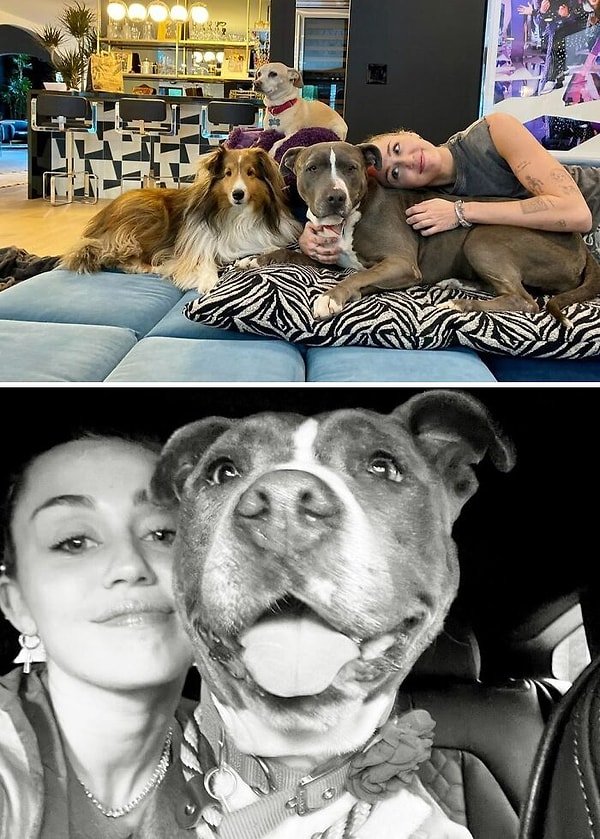 15. Майли Сайрус с Энджелом