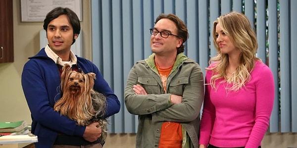 16. The Big Bang Theory dizisinde başka ellere bırakılınca bize komik olaylar izleten Cinnamon'u unutmadık!