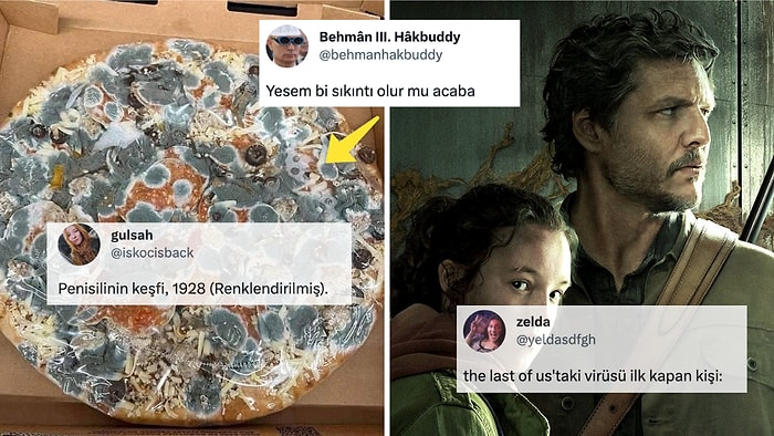 Küflerin Yeni Bir Yaşam Alanı Oluşturduğu Pizzayı Yemek İsteyen Canını Pek Sevmeyen Kullanıcıya Gelen Yorumlar