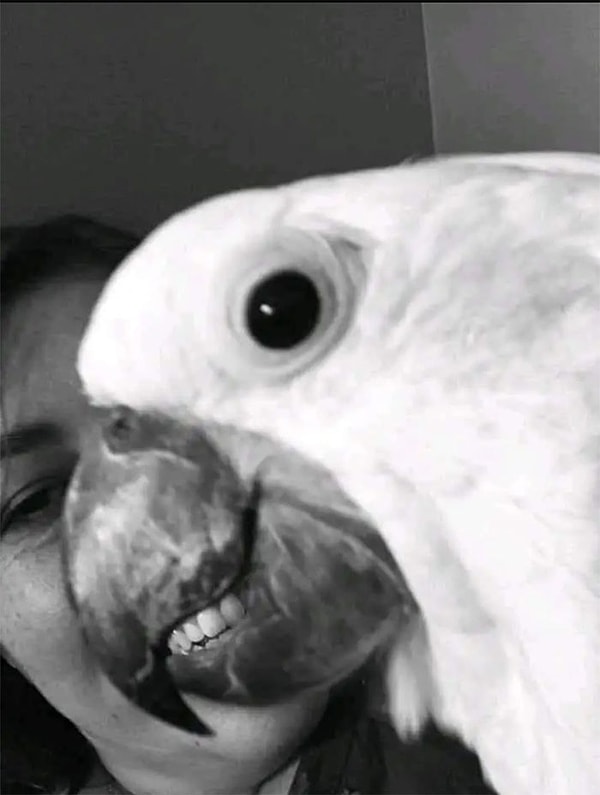 9. Улыбочку 😁