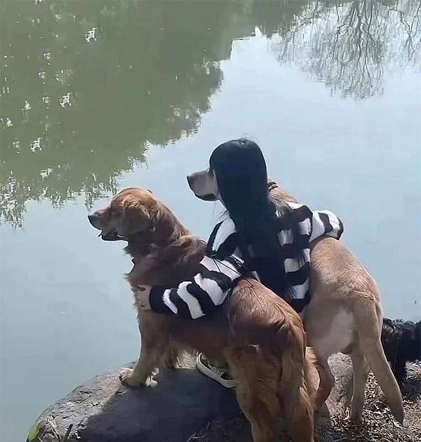 11. Нет, не показалось!