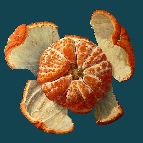 11. Exploded Tangerine, Gérard Dubois (2016)