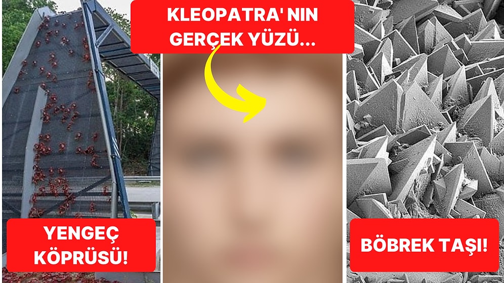 Tarihten Günümüze Hayatı Sorgulamanıza Sebep Olmaya Aday Birbirinden İlginç 21 Görsel