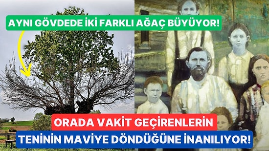 Sizi Tekte Hayrete Düşerecek Gizemini Yıllardır Koruyan ve Bilim İnsanlarının Bile Açıklayamadığı 7 İlginç Yer