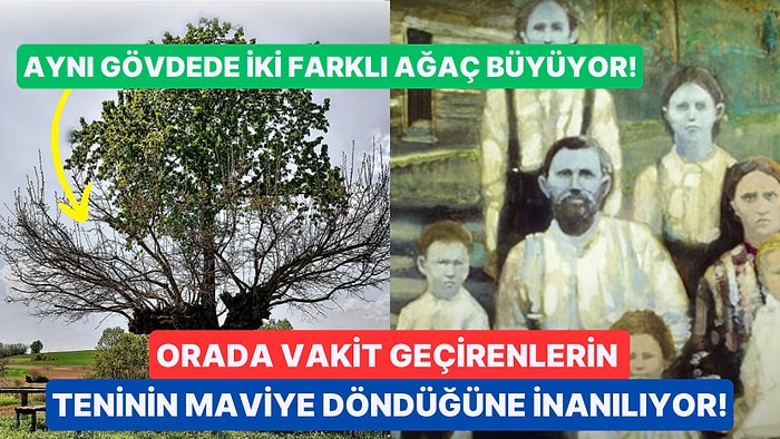 Sizi Tekte Hayrete Düşerecek Gizemini Yıllardır Koruyan ve Bilim İnsanlarının Bile Açıklayamadığı 7 İlginç Yer