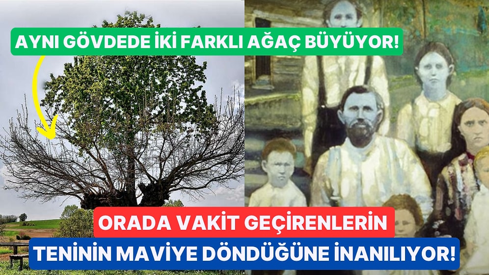 Sizi Tekte Hayrete Düşerecek Gizemini Yıllardır Koruyan ve Bilim İnsanlarının Bile Açıklayamadığı 7 İlginç Yer