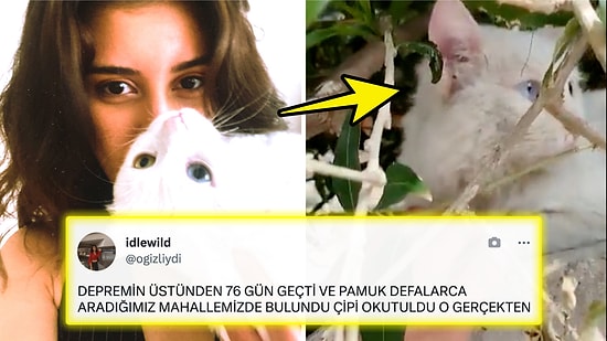 Depremde Kaybettiği Kedisini 76 Gün Sonra Bulan Kadının Yaşadığı Mucize Gözlerinizi Dolduracak!