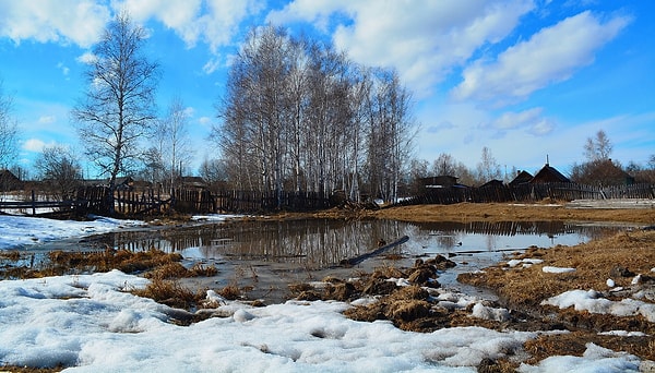 10. Со временем, когда снег тает и температура становится теплее, на полях появляется новая зелень.