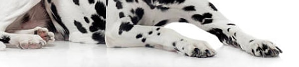 3. Что скажете?