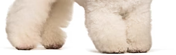 10. Последнее...