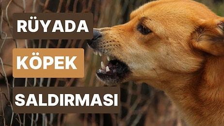 Rüyada Köpek Saldırması: Dostlarınızın Gerçek Yüzünü Acı Bir Şekilde Göreceksiniz!