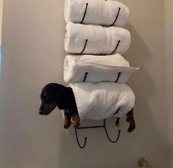 11. Булочка в полотенце