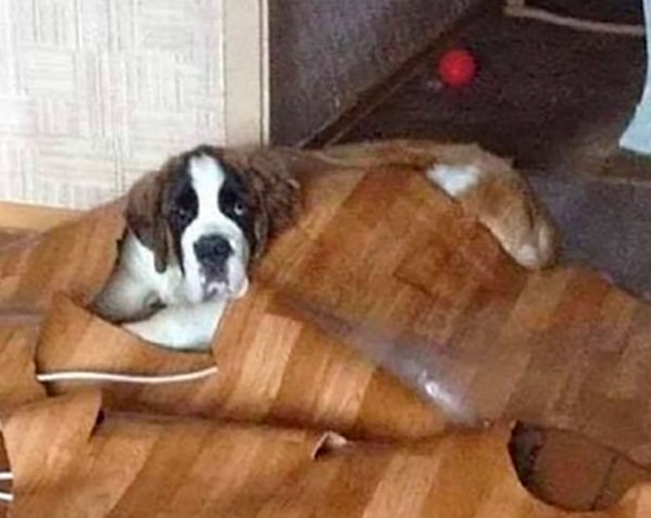 30. Когда ночуешь у друга и тебе не дали одеяло